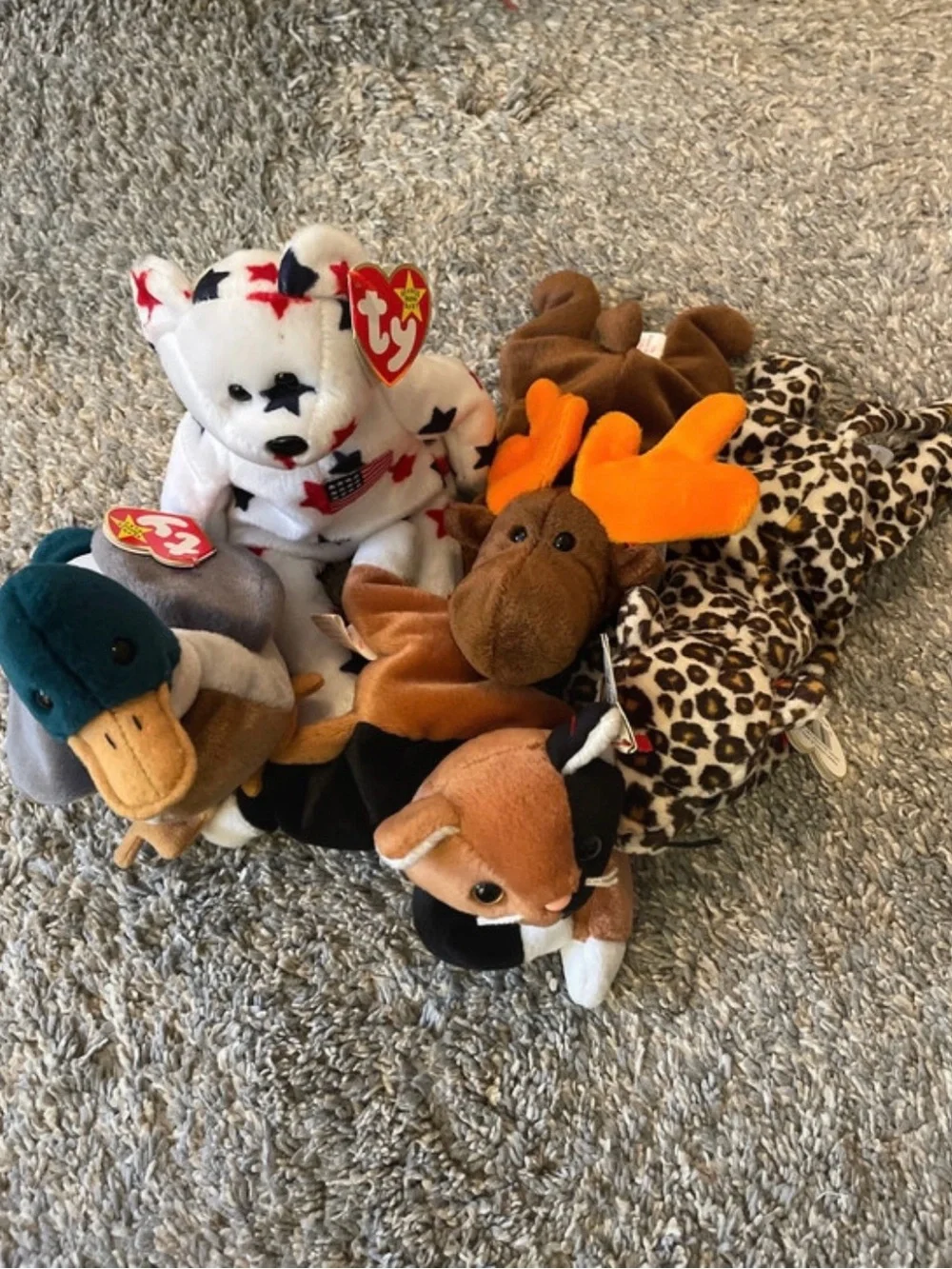 Ty Beanie Babies Collection